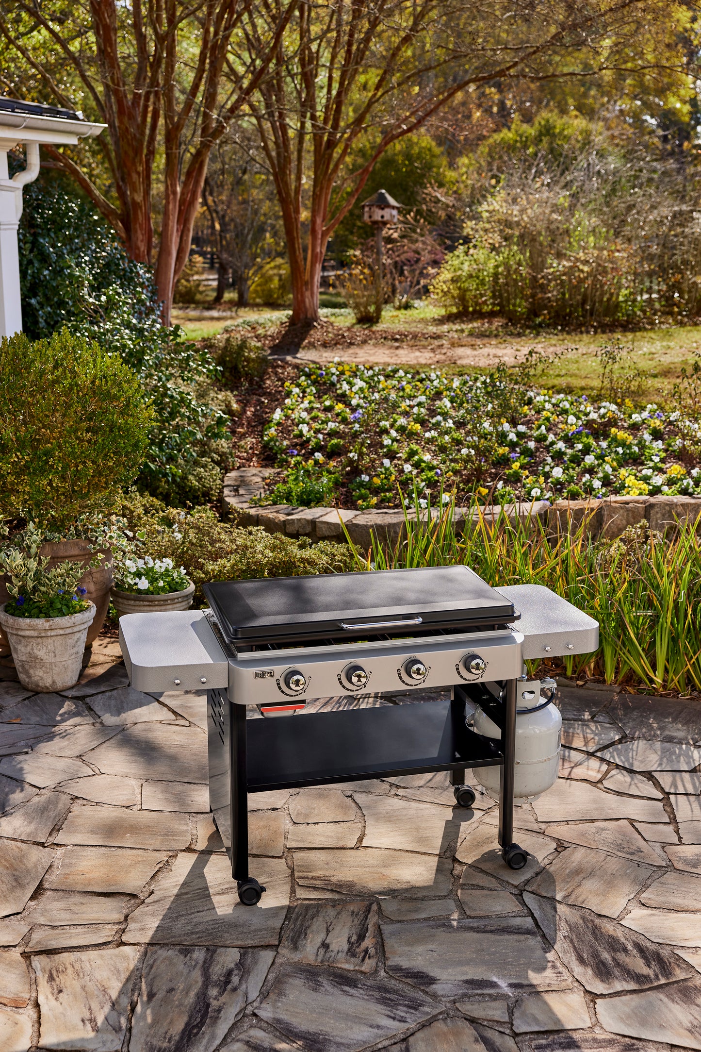 Weber 36-inch Gas Griddle 44310401 Weber Chilliwack BBQ Supply