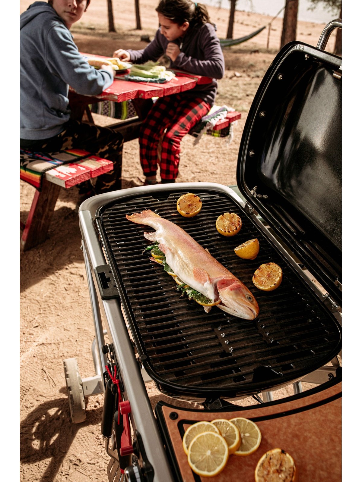 Weber Traveler Portable Gas Grill Weber Chilliwack BBQ Supply