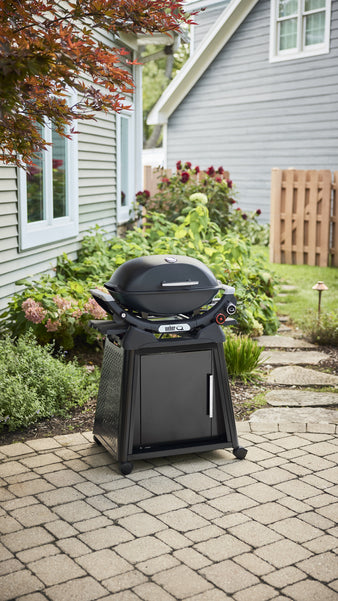 Weber Q 2800N+ Propane Gas Grill with Stand