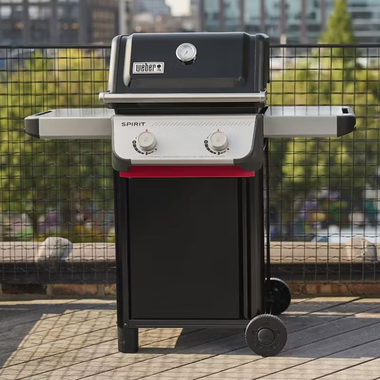 Spirit® E-210 Gas Grill (Liquid Propane) 2 Burners (Liquid Propane)