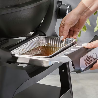 Weber Q 1200N Gas Grill -Liquid Propane Sky Blue