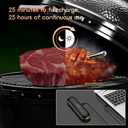 INKBIRD int-11p-b wireless meat thermometer probe