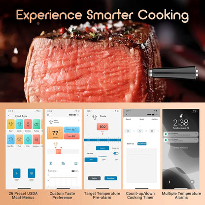 INKBIRD int-11p-b wireless meat thermometer probe